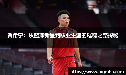 贺希宁：从篮球新星到职业生涯的璀璨之路探秘